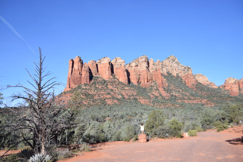 アリゾナ州に旅行に行ってきました①